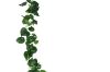 Picture of Test No Order - ARTIFICIAL PLANT Sweet Potato Vines 02 (2M Long)