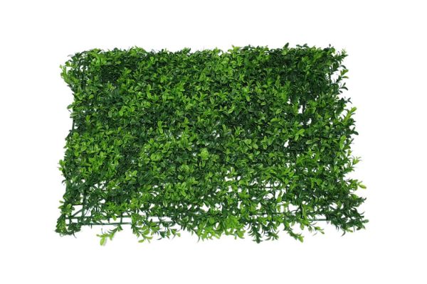 Picture of Test No Order - ARTIFICIAL Green Wall 3M² (Indoor/Outdoor Wall Decoration) - Bayberry