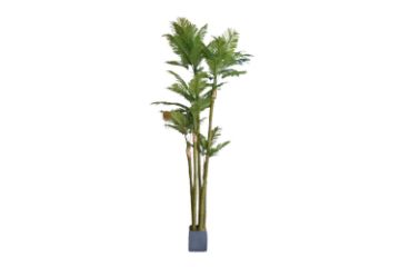 Picture of Test No Order - ARTIFICIAL PLANT PALM with Square Concrete Pot (H360cm)