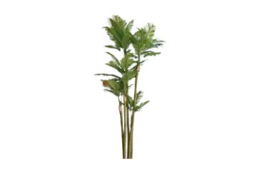 Picture of Test No Order - ARTIFICIAL PLANT PALM (H360cm) - Palm Only