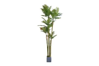 Picture of Test No Order - ARTIFICIAL PLANT PALM (H360cm) - with Square Concrete Pot