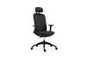 Picture of Test No Order - SULLIVAN Ergonomic Office Chair (Black)