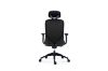 Picture of Test No Order - SULLIVAN Ergonomic Office Chair (Black)