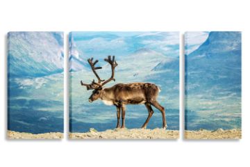 Picture of Test No Order - ELK AT JUTONHEIMEN NATIONAL PARK NORWAY - Frameless Canvas Print Wall Art (200cmx70cm) (3 Panels)