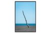 Picture of Test No Order - BALANCE - Black Framed Canvas Print Wall Art (150cmx100cm)