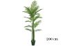 Picture of Test No Order - ARTIFICIAL PLANT Palm (Black Plastic Pot) - H150cm