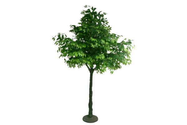 Picture of Test No Order - ARTIFICIAL PLANT BANYAN Tree (H270cm)