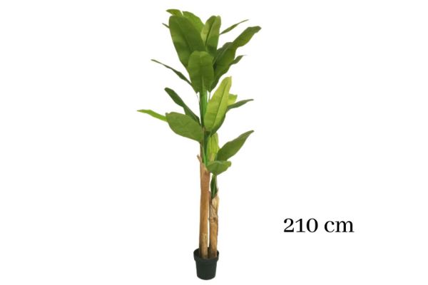 Picture of Test No Order - ARTIFICIAL PLANT Banana Tree Leaves - H210cm