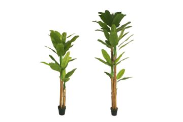 Picture of Test No Order - ARTIFICIAL PLANT BANANA Tree Leaves (H210cm/H300cm)