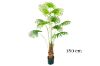 Picture of Test No Order - ARTIFICIAL PLANT Fan Palm Tree (H180cm/H210cm)