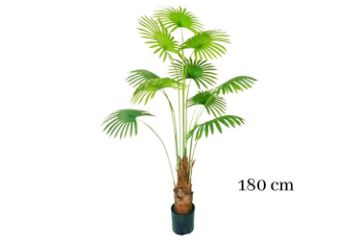 Picture of Test No Order - ARTIFICIAL PLANT Fan Palm Tree (H180cm)