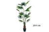 Picture of Test No Order - ARTIFICIAL PLANT Fan Palm Tree (H180cm/H210cm)