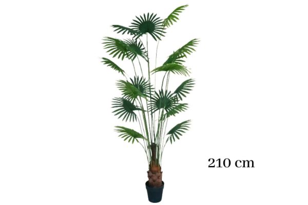 Picture of Test No Order - ARTIFICIAL PLANT Fan Palm Tree (H210cm)