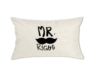 Picture of Test No Order - LUMBAR Throw Pillow Cushion with Inner Assorted (30cmx50cm) - Cushion 1587 (Mr. Right)