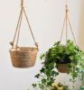 Picture of Test No Order - HANGING Natural Jute Rope Planter Basket (Grey Dip)