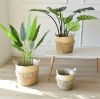 Picture of Test No Order - JUTE Rope Flowerpot/Plant Basket/Storage Basket - Large (22cmx25cm)