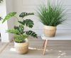 Picture of Test No Order - JUTE Rope Flowerpot/Plant Basket/Storage Basket - Large (22cmx25cm)