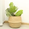 Picture of Test No Order - SEAGRASS Belly Basket/Floor Planter/Storage Belly Basket (Natural Colour) (Multiple Sizes)