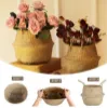 Picture of Test No Order - SEAGRASS Belly Basket/Floor Planter/Storage Belly Basket (Natural Colour) (Multiple Sizes)