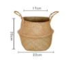 Picture of Test No Order - SEAGRASS Belly Basket/Floor Planter/Storage Belly Basket (Natural Colour) (Multiple Sizes)