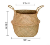 Picture of Test No Order - SEAGRASS Belly Basket/Floor Planter/Storage Belly Basket (Natural Colour) (Multiple Sizes)