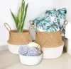 Picture of Test No Order - SEAGRASS Belly Basket/Floor Planter/Storage Belly Basket (White & Natural Two Tone) (Multiple Sizes)