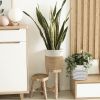 Picture of Test No Order - JUTE Rope Plant Basket/Storage Organizer (White & Natural)