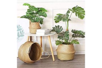 Picture of Test No Order - SEAGRASS Belly Basket/Floor Planter/Storage Belly Basket (Natural Colour) (Multiple Sizes)