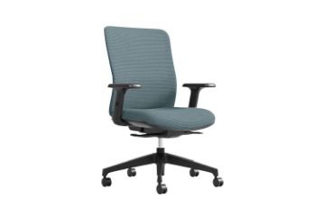 Picture of Test No Order - LIBERTY Office Chair (Grey)