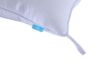 Picture of Test No Order - CLOUD Fibre Pillow