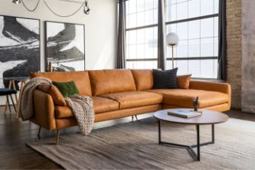 Picture of Test No Order - PARK Sectional Sofa (Facing Right) (Brown)