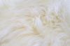 Picture of Test No Order - SHEEPSKIN Small/Medium/Large Rug (100% Genuine) (White)