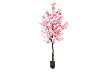 Picture of Test No Order - ARTIFCIAL PLANT Cherry Tree 180cm