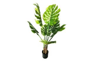 Picture of Test No Order - ARTIFCIAL Plant Monstera Delicosa - 90CM