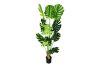 Picture of Test No Order - ARTIFCIAL Plant  90/140/180 Monstera Delicosa