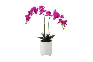 Picture of Test No Order - ARTIFICIAL PLANT Pink Orchid with White Vase (H55cm)