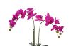 Picture of Test No Order - ARTIFICIAL PLANT Pink Orchid with White Vase (H55cm)