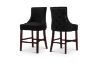 Picture of Test No Order - FRANKLIN Velvet Counter Chair Solid Rubber Wood Legs (Black)