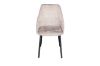 Picture of Test No Order - ASTRAL Dining Chair (Beige) - Single