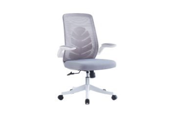 Picture of Test No Order - NOVA Office Chair (Grey)