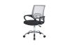 Picture of Test No Order - CITY Mesh Office Chair (Grey)