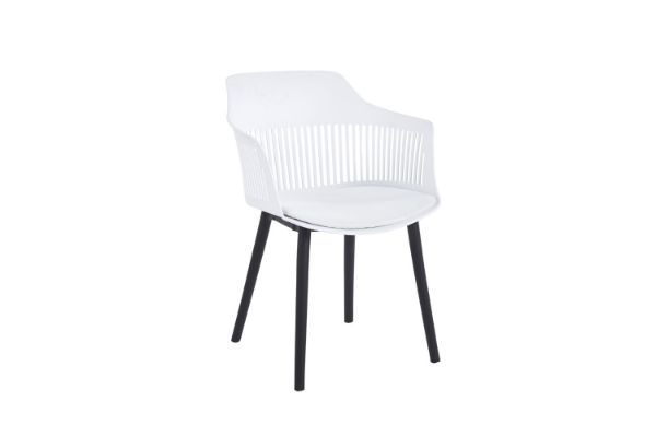 Picture of Test No Order - VERVE Arm Chair (White)