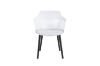 Picture of Test No Order - VERVE Arm Chair (White)