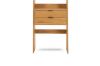 Picture of Test No Order - URBAN 200cmx60cm 2-Drawer Bookshelf Wall System (Oak Colour)