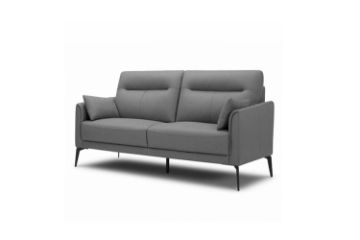 Picture of Test No Order - FREEDOM Fabric Sofa (Grey) - Loveseat