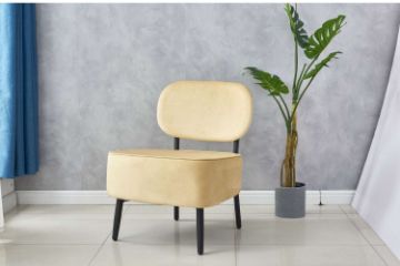 Picture of Test No Order - PUGSLEY Velvet Lounge Chair