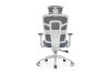 Picture of Test No Order - HINO Office Chair (Light Blue)