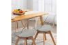 Picture of Test No Order - EFRON Dining Chair with Grey Cushion (Clear)