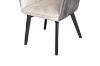 Picture of Test No Order - CRESTA Velvet Arm Chair (Beige)