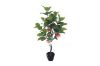 Picture of Test No Order - Artificial Plant 125cm Apple *Black Plastic Pot